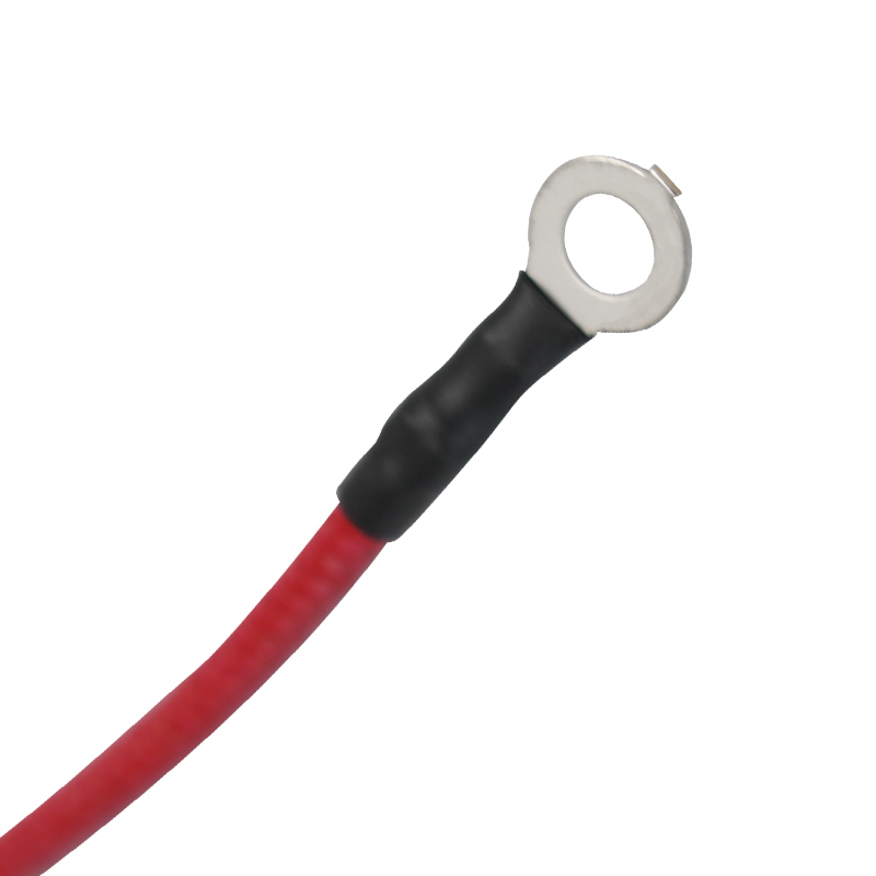 Cablajul oalei sub presiune Cablajul conexiunii interne a oalei sub presiune Cablajul oalei sub presiune Cablajul conexiunii interne a oalei sub presiune